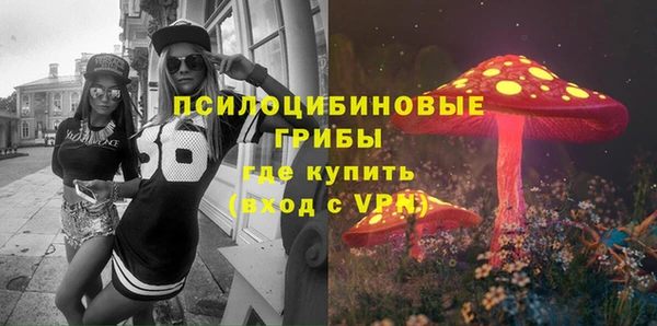 apvp Абаза