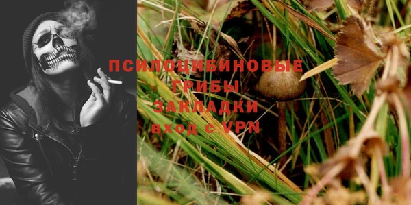 apvp Абаза