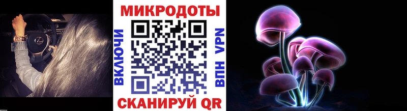 Галлюциногенные грибы Magic Shrooms  Юрга 